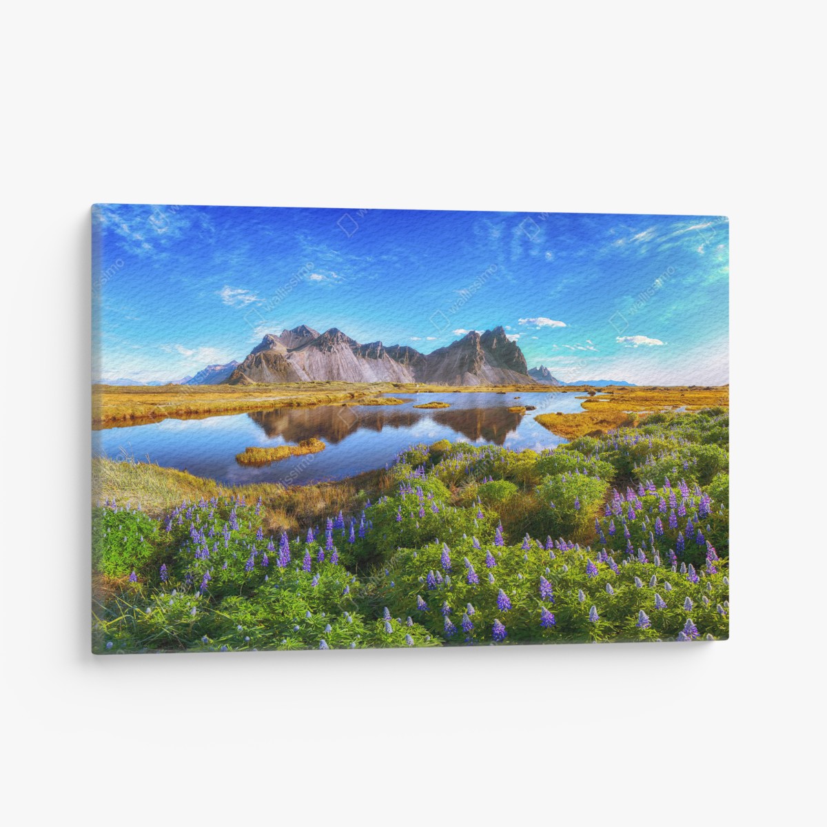 Leinwandbild lupinenwiese am Vestrahorn, Island – Wallnifity®