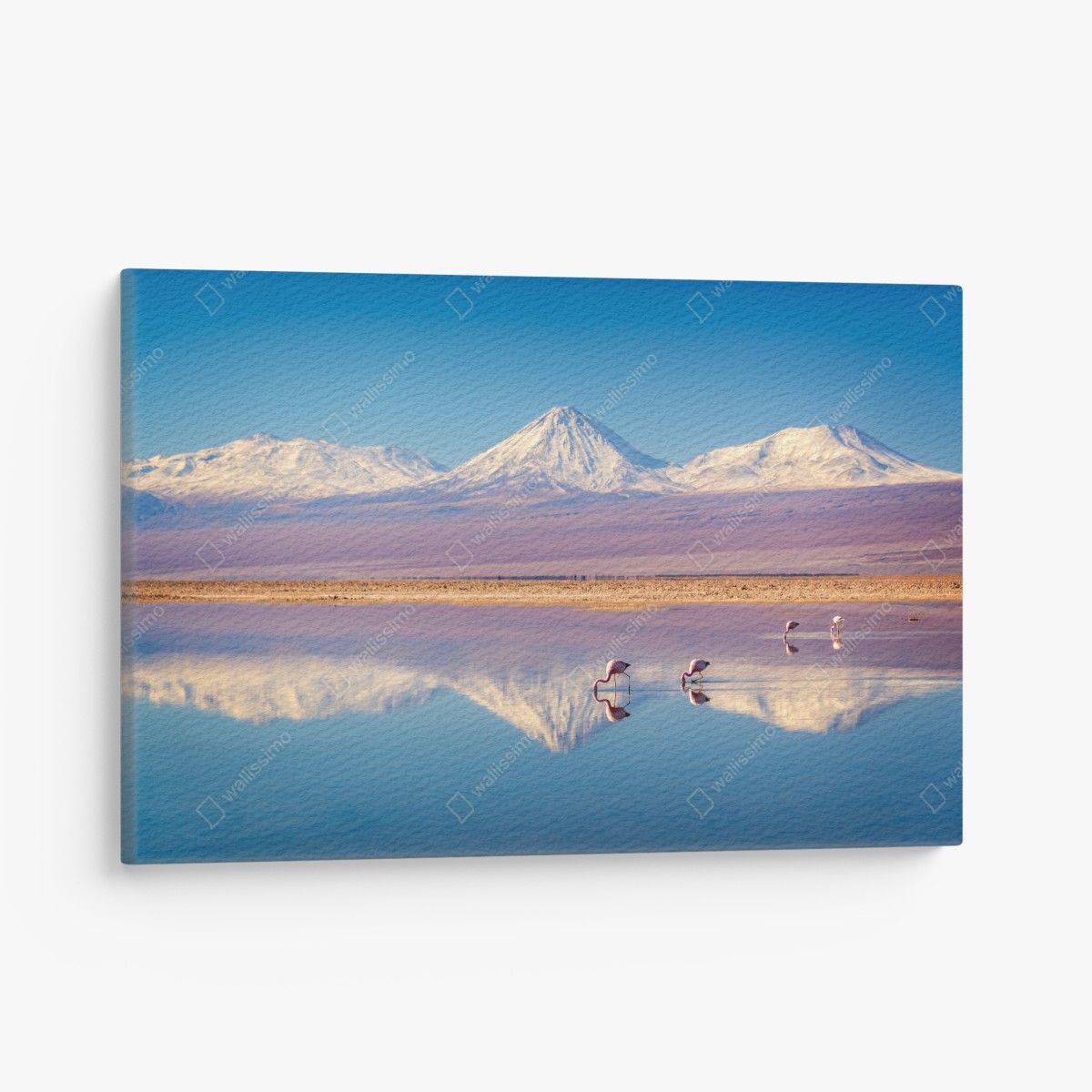 Leinwandbild Laguna Chaxa mit flamingos und Licancabur – Wallnifity®
