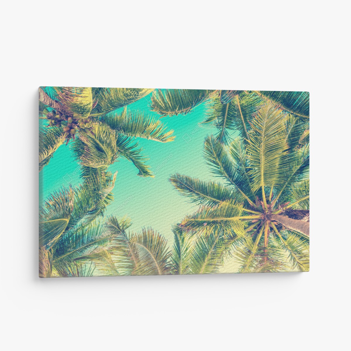 Leinwandbild vintage türkis palmenhimmel – Wallnifity®