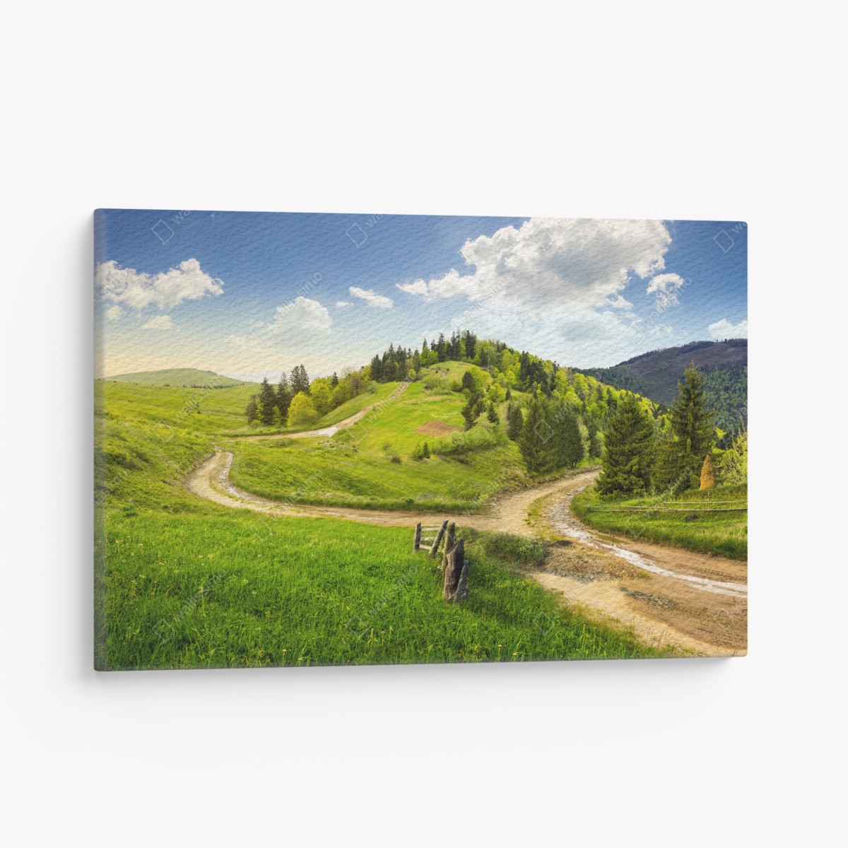 Leinwandbild gewundener feldweg durch grüne hügel – Wallnifity®