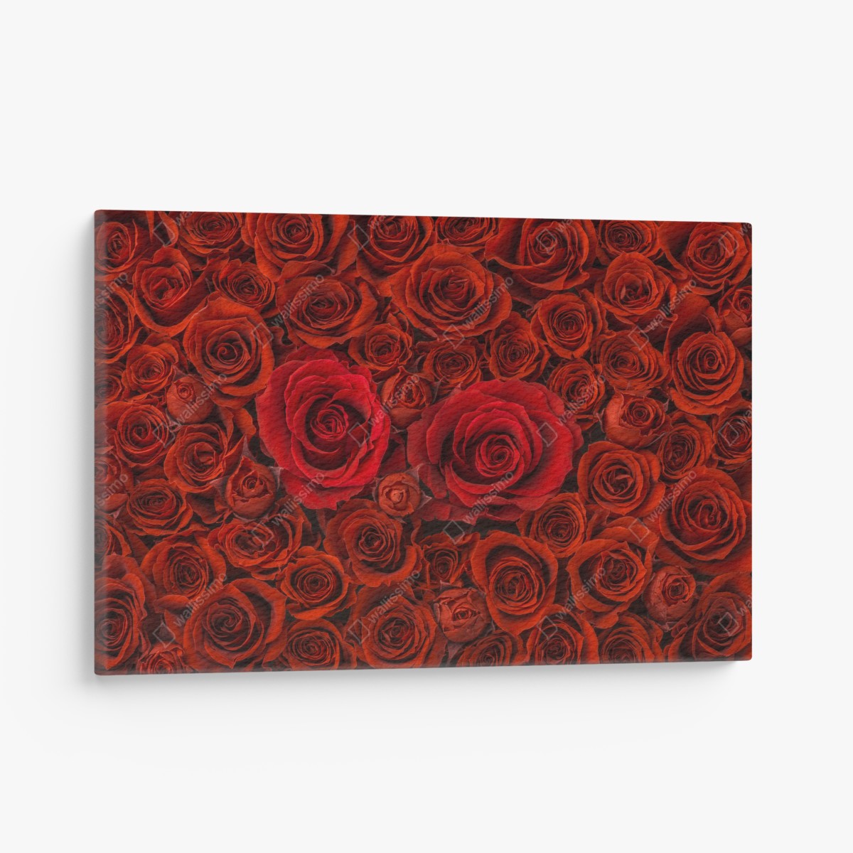 Leinwandbild prunkvolle collage roter rosen – Wallnifity®