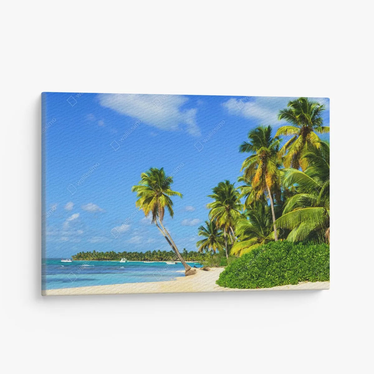 Leinwandbild tropischer palmenstrand – Wallnifity®