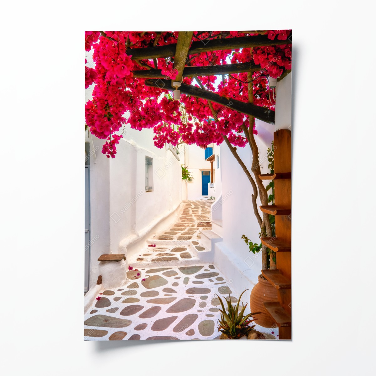 Poster sonnige gasse in Griechenland mit bougainvillea – Wallnifity®