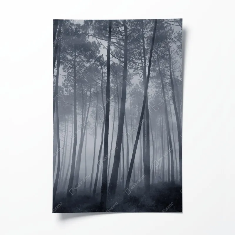 Poster zeitloses schwarz-weiß geometrisches muster – Wallnifity®