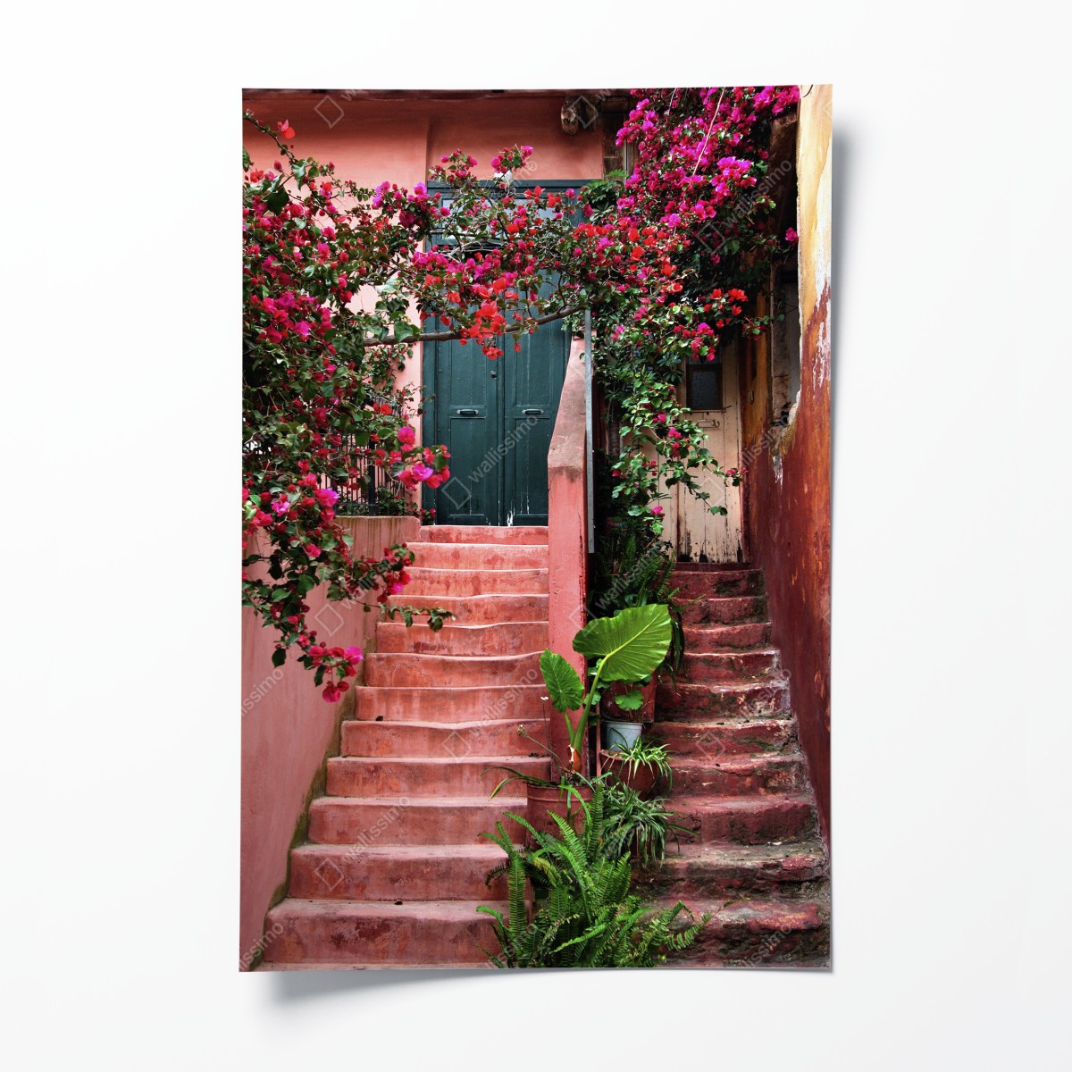 Poster treppe mit bougainvillea und grünen pflanzen – Wallnifity®
