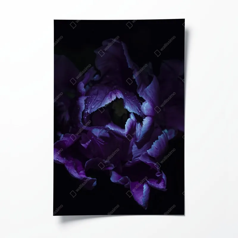 Poster einsamer baum im see in schwarzweiß – Wallnifity®