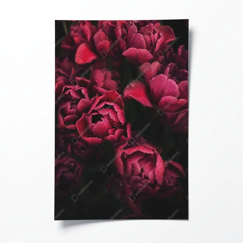 Poster ruhiger fjord bei sonnenuntergang – Wallnifity®