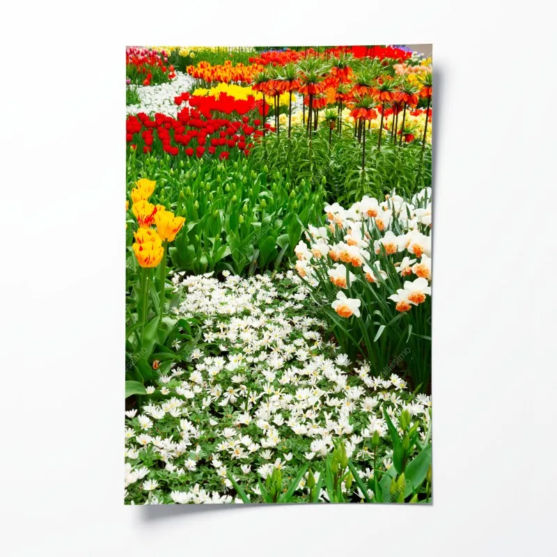 Poster Texas wiese mit bluebonnets im sonnenaufgang – Wallnifity®