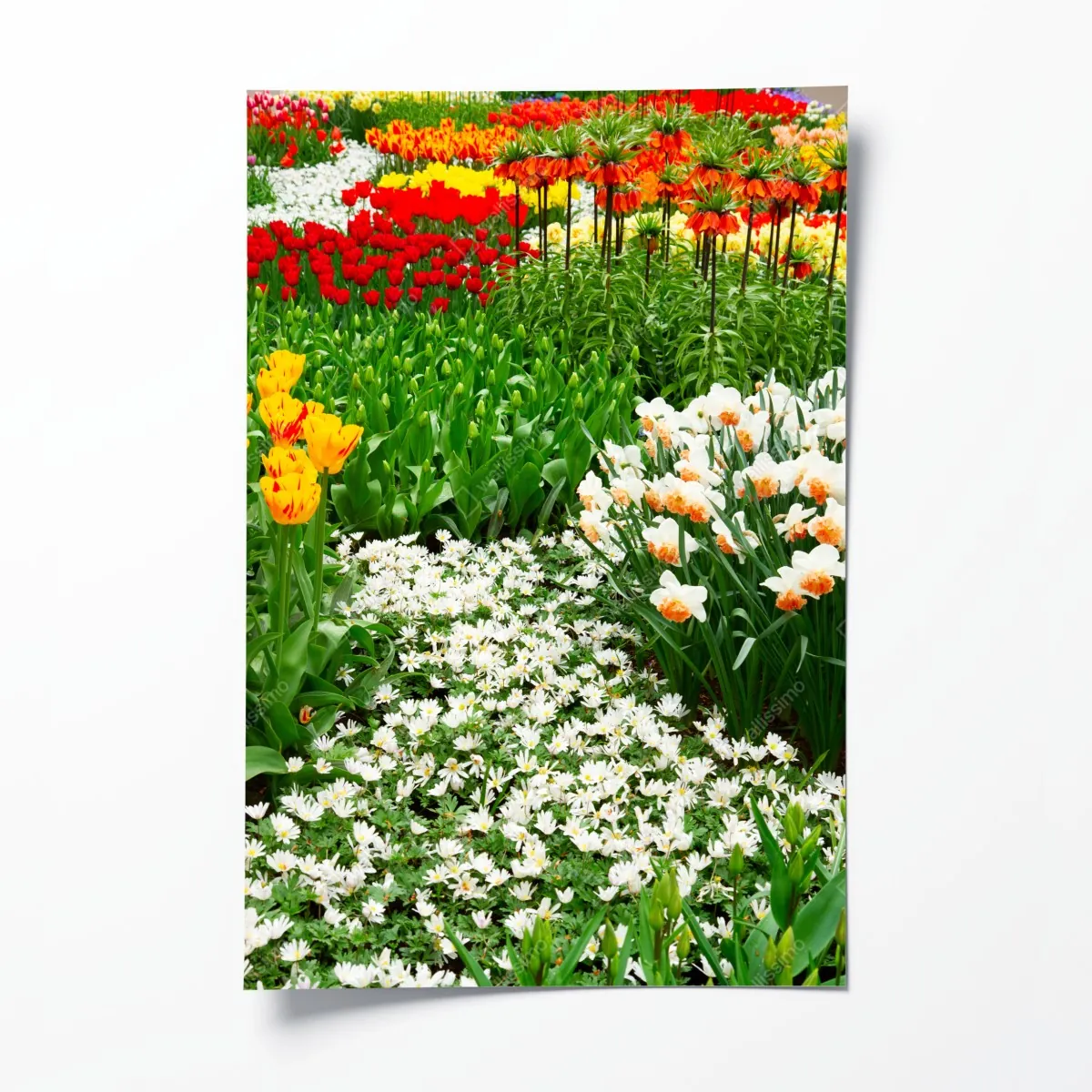 Poster lebendiger frühlingsblumengarten – Wallnifity®