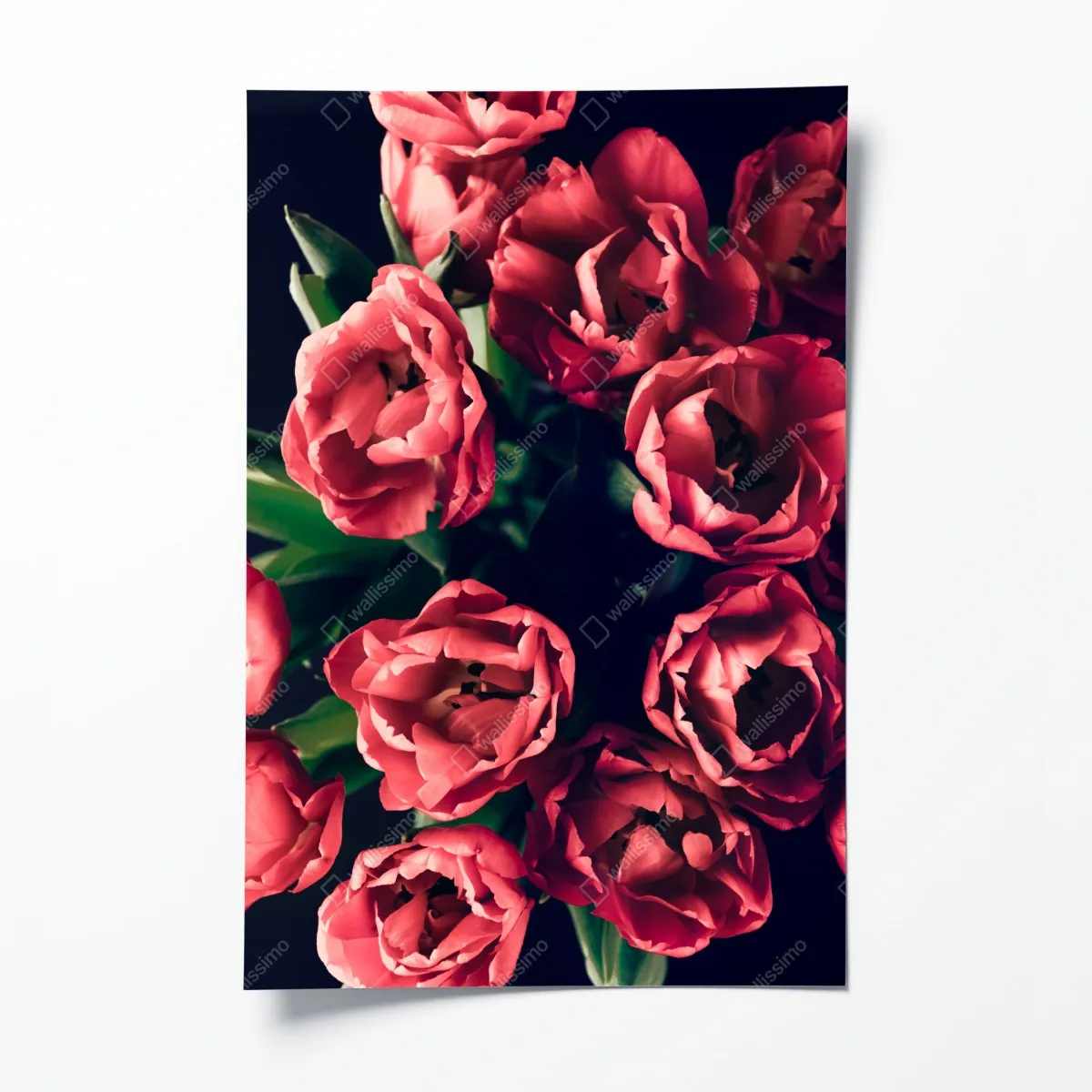 Poster stimmungsvolles rosa tulpenbukett – Wallnifity®