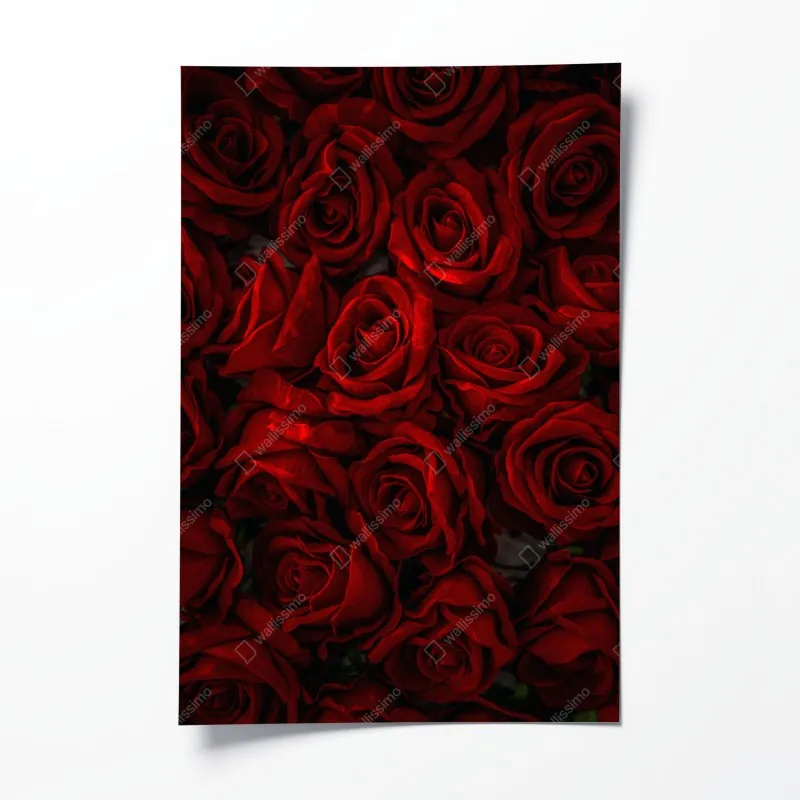 Poster zartes aquarell rosenmuster – Wallnifity®