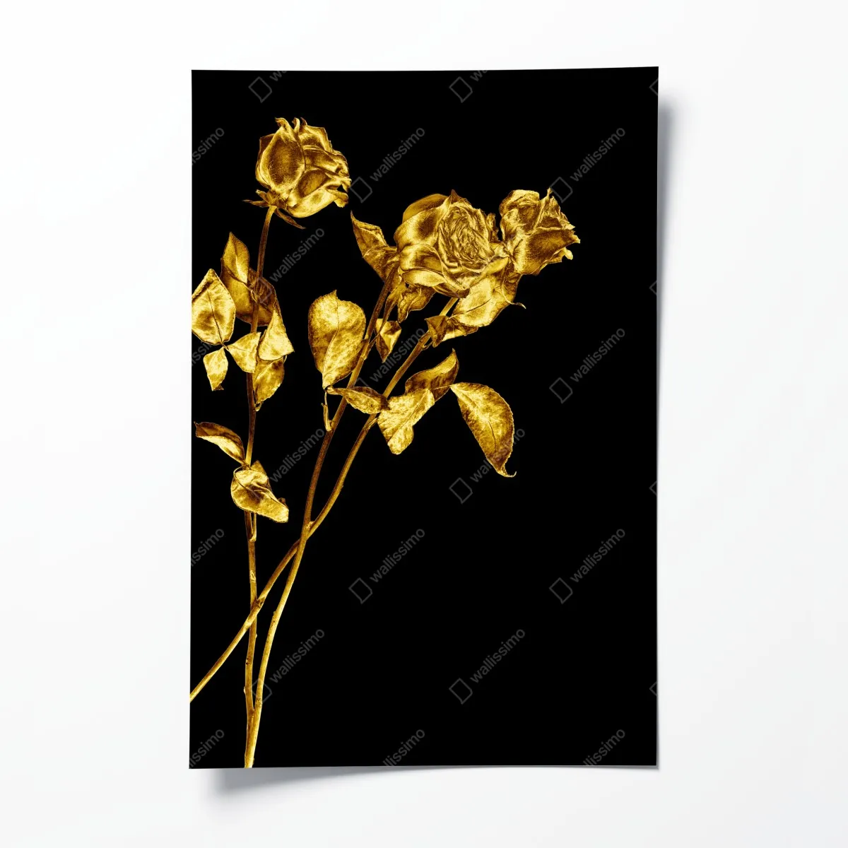 Poster goldene rosen vor schwarzem hintergrund – Wallnifity®