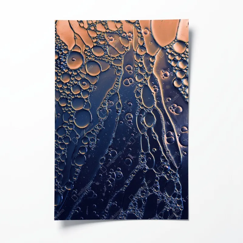 Poster sonnenuntergang mit schwan auf stillem see – Wallnifity®