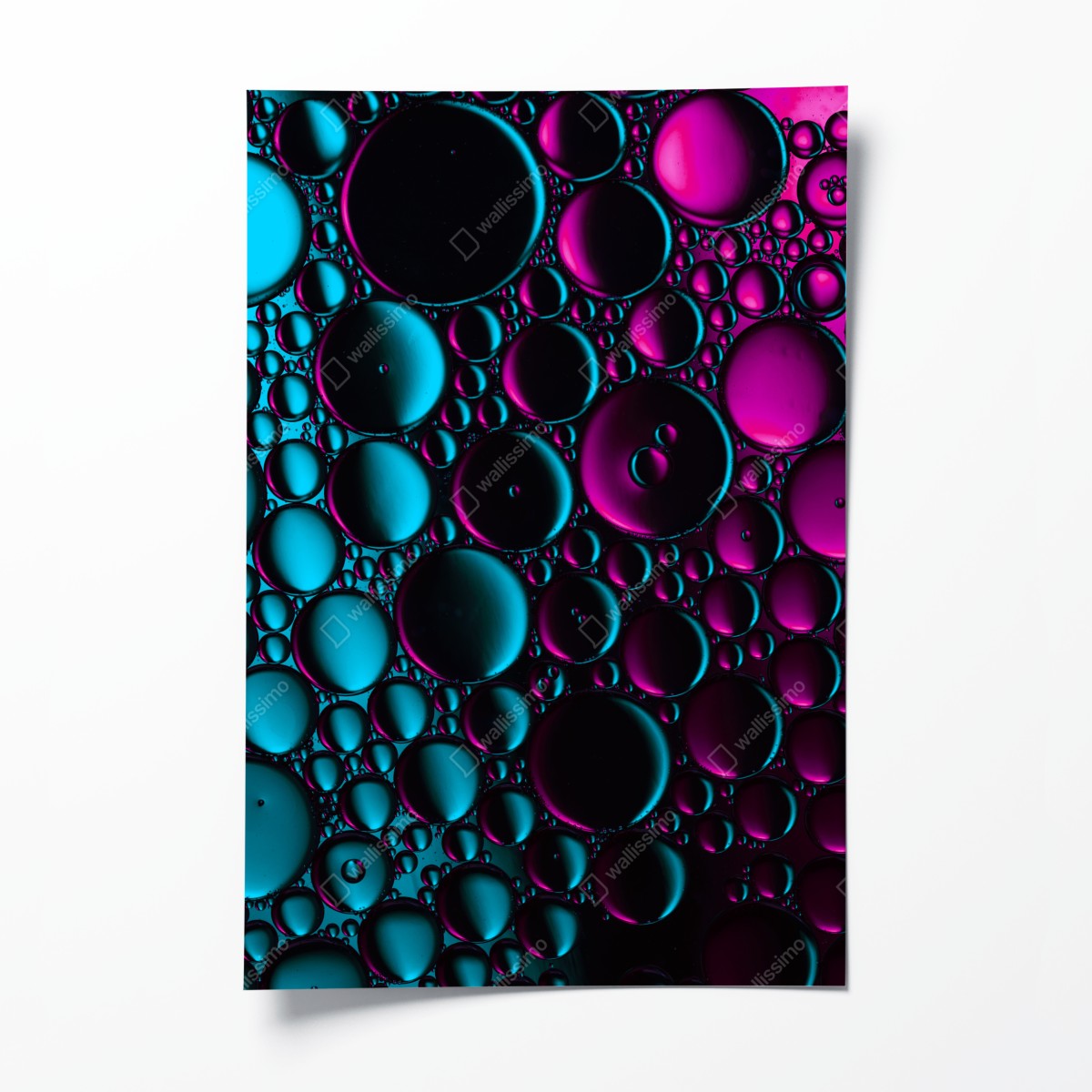 Poster türkis-magenta blasenmuster – Wallnifity®