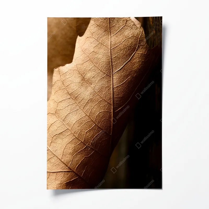 Poster Rialto brücke bei dämmerung, Venedig – Wallnifity®