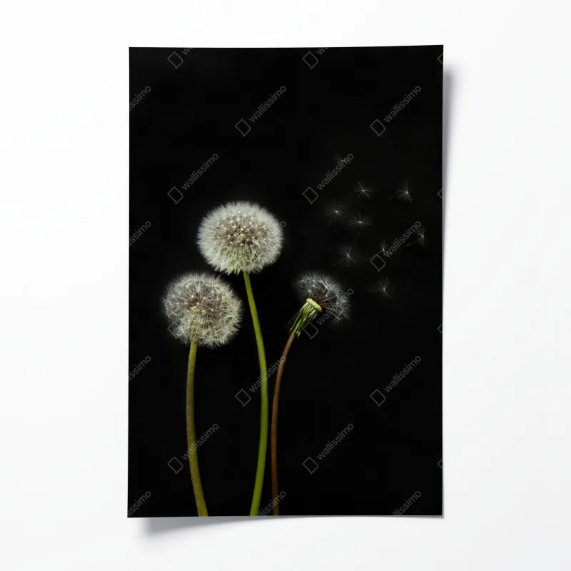 Poster Havanna skyline bei sonnenuntergang – Wallnifity®