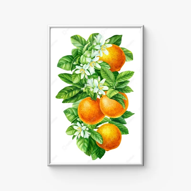 Poster zitrusblüten und reife orangen – Wallnifity®