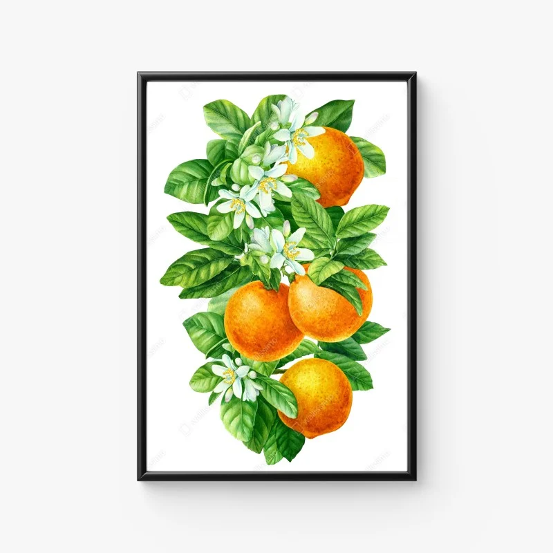 Poster zitrusblüten und reife orangen – Wallnifity®