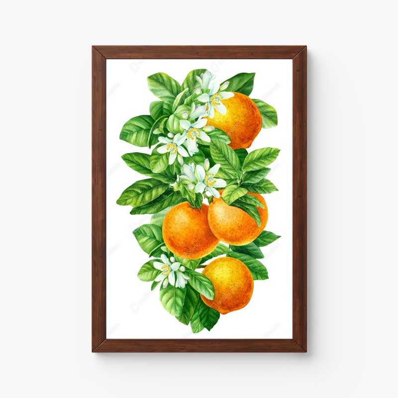 Poster zitrusblüten und reife orangen – Wallnifity® Poster zitrusblüten und reife orangen – Wallnifity®