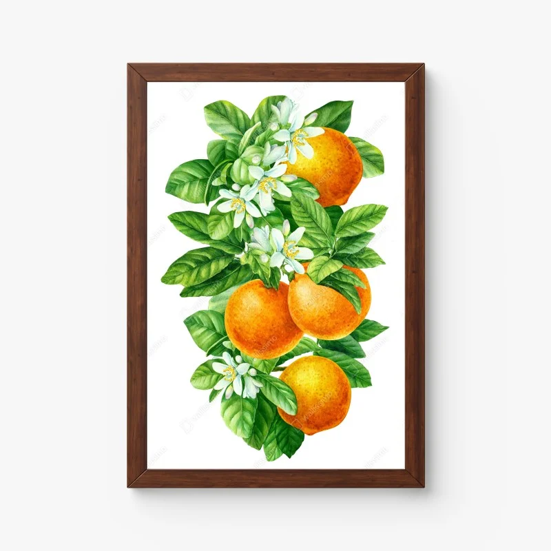 Poster zitrusblüten und reife orangen – Wallnifity®