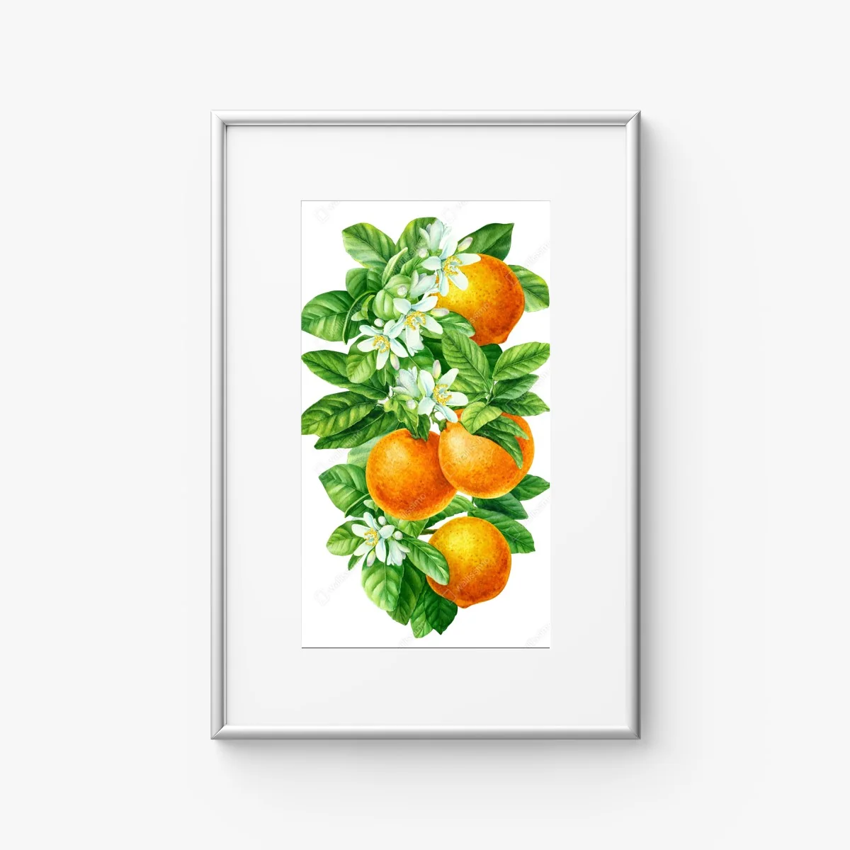 Poster zitrusblüten und reife orangen – Wallnifity® Poster zitrusblüten und reife orangen – Wallnifity®