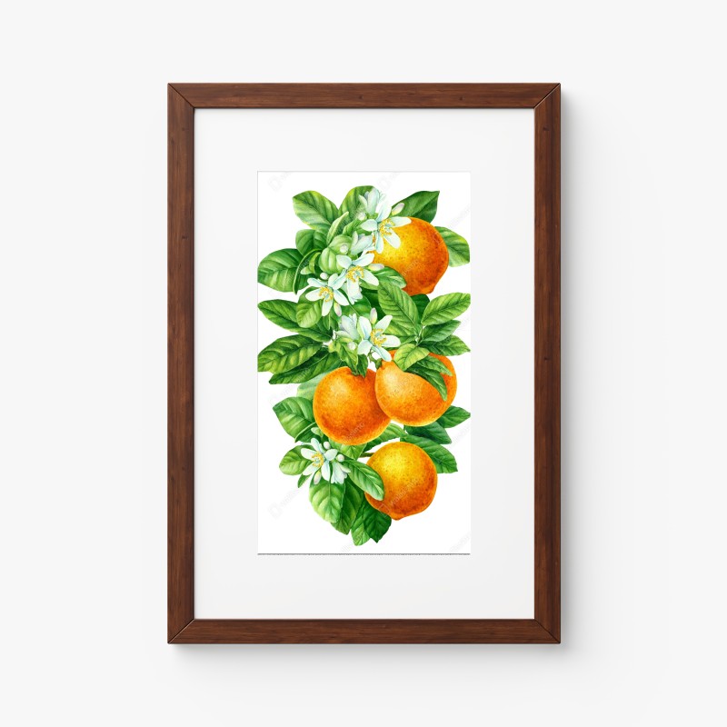 Poster zitrusblüten und reife orangen – Wallnifity® Poster zitrusblüten und reife orangen – Wallnifity®
