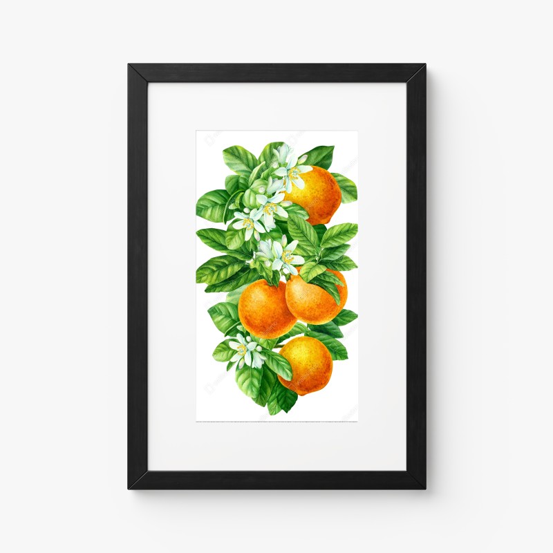Poster zitrusblüten und reife orangen – Wallnifity® Poster zitrusblüten und reife orangen – Wallnifity®
