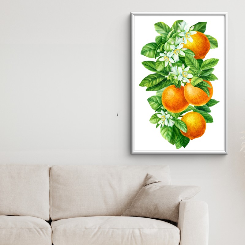 Poster zitrusblüten und reife orangen – Wallnifity® Poster zitrusblüten und reife orangen – Wallnifity®