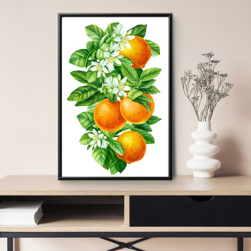 Poster zitrusblüten und reife orangen – Wallnifity® Poster zitrusblüten und reife orangen – Wallnifity®