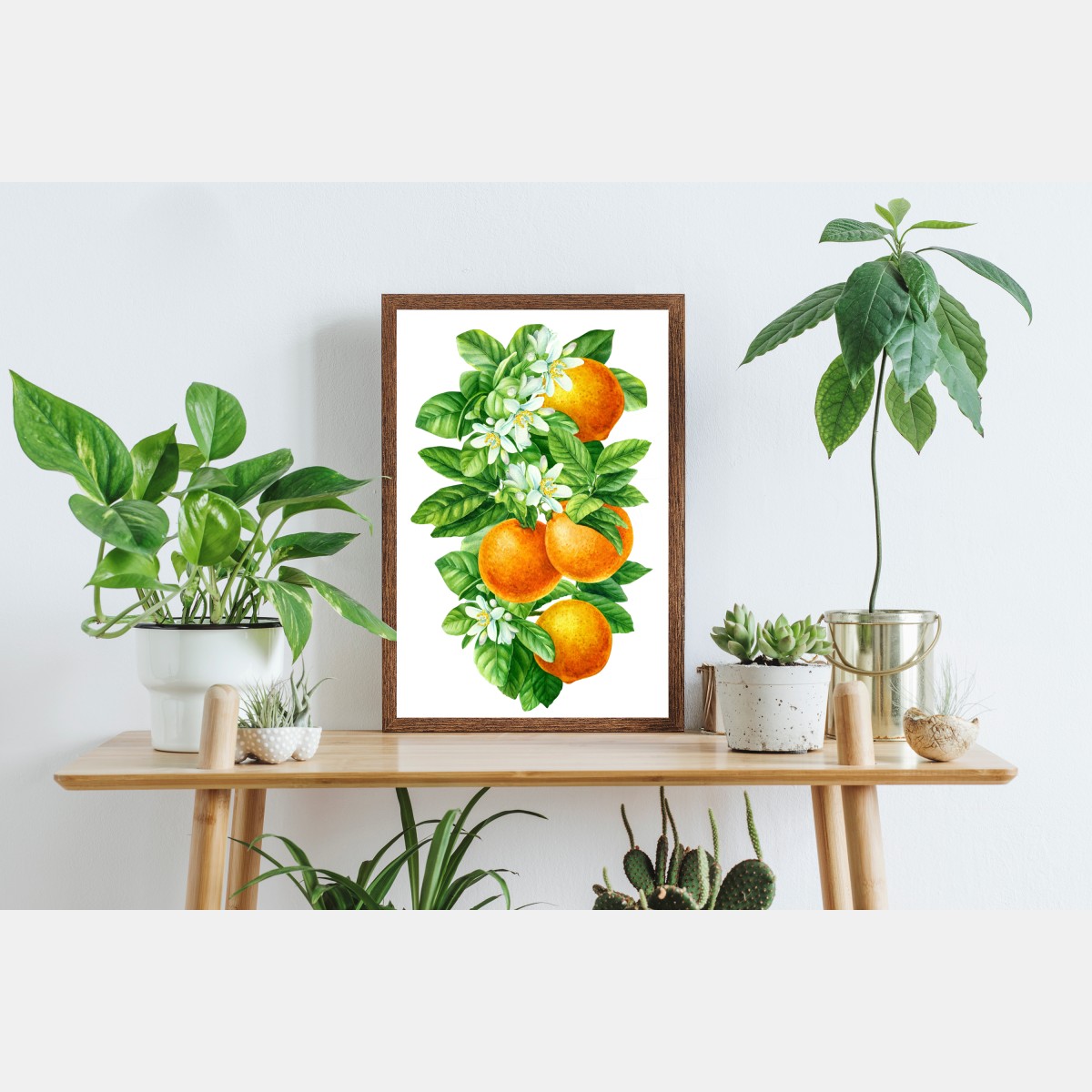 Poster zitrusblüten und reife orangen – Wallnifity® Poster zitrusblüten und reife orangen – Wallnifity®