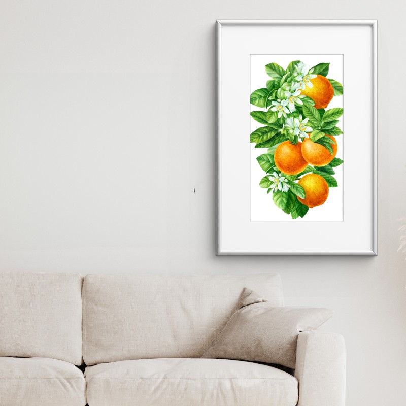 Poster zitrusblüten und reife orangen – Wallnifity® Poster zitrusblüten und reife orangen – Wallnifity®