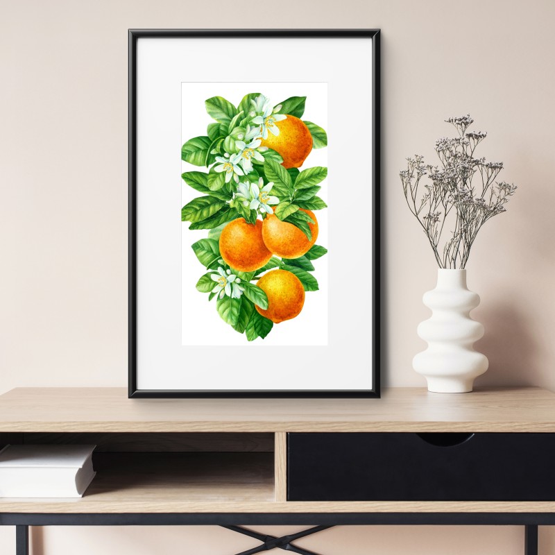 Poster zitrusblüten und reife orangen – Wallnifity® Poster zitrusblüten und reife orangen – Wallnifity®