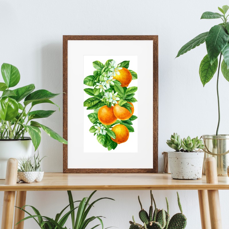 Poster zitrusblüten und reife orangen – Wallnifity® Poster zitrusblüten und reife orangen – Wallnifity®