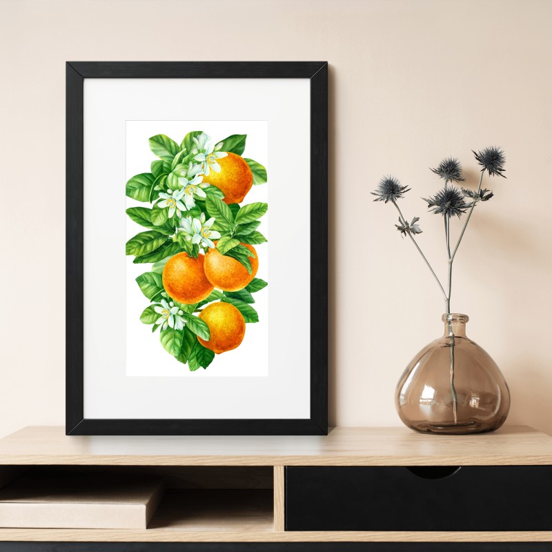 Poster zitrusblüten und reife orangen – Wallnifity® Poster zitrusblüten und reife orangen – Wallnifity®