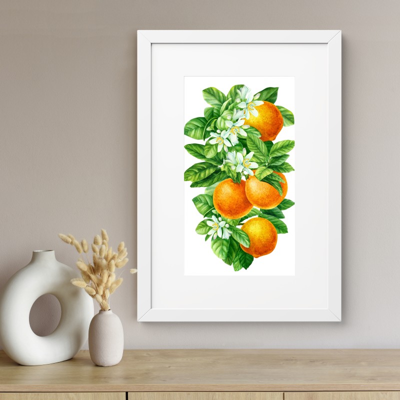Poster zitrusblüten und reife orangen – Wallnifity® Poster zitrusblüten und reife orangen – Wallnifity®