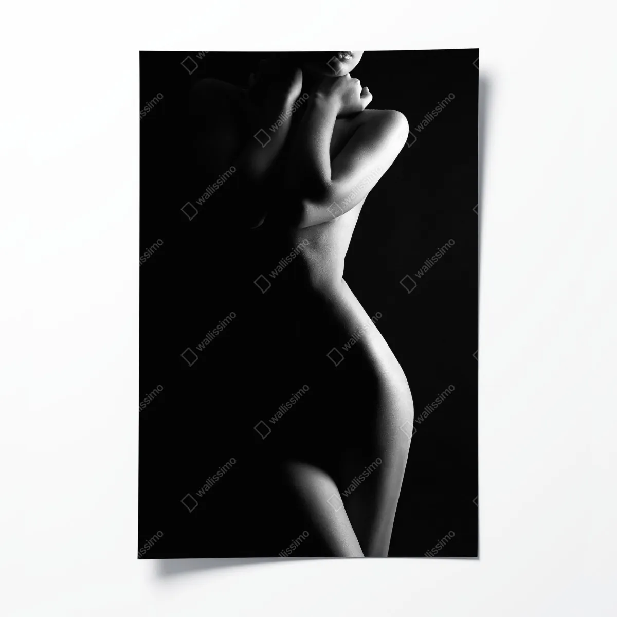 Poster sinnliche silhouette weiblicher form – Wallnifity®