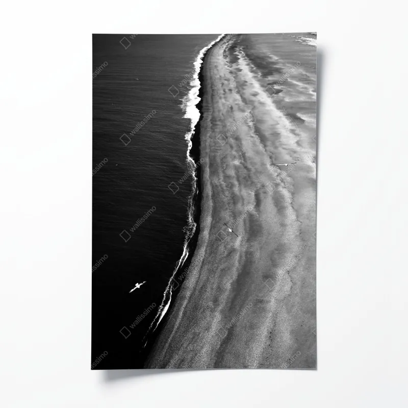 Poster Central Park herbst panorama – Wallnifity®