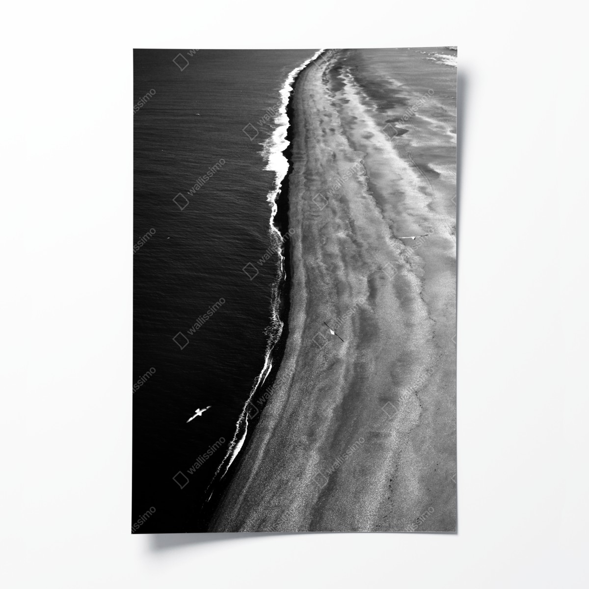 Poster monochrome küstenaufnahme aus der luft – Wallnifity®