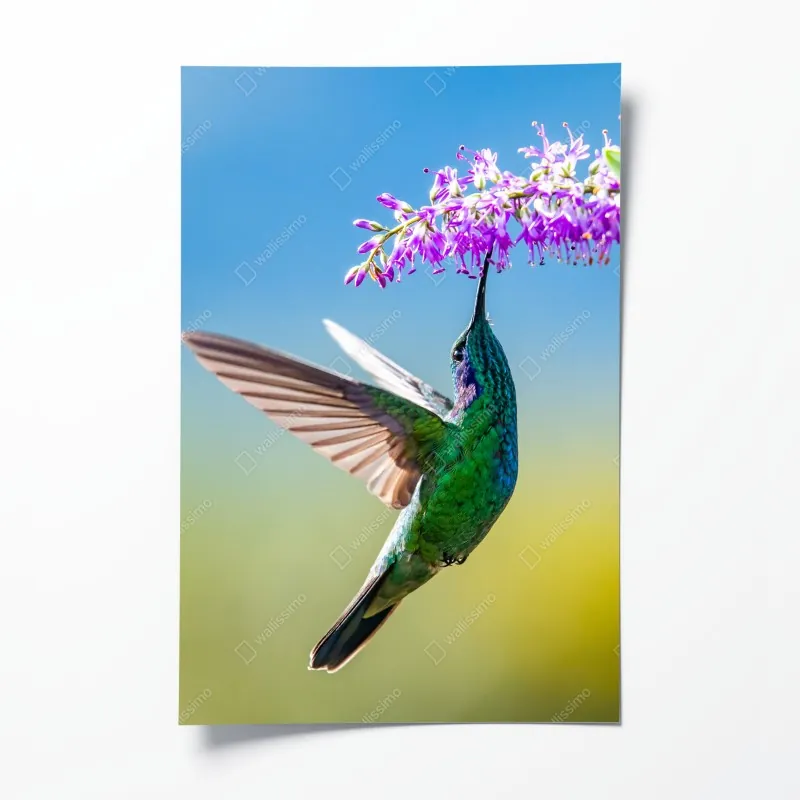 Poster tropischer strand mit blauem sonnenhut – Wallnifity®