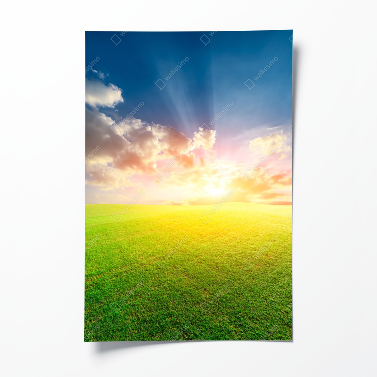 Poster sonnenbeschienene wiese bei sonnenuntergang – Wallnifity®