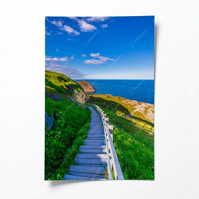 Poster türkisfarbener wasserfall im üppigen wald – Wallnifity®