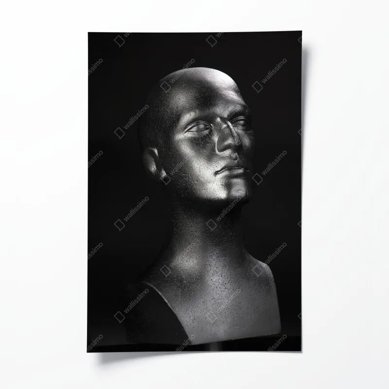 Poster mangrovensteg durch üppigen grünen dschungel – Wallnifity®