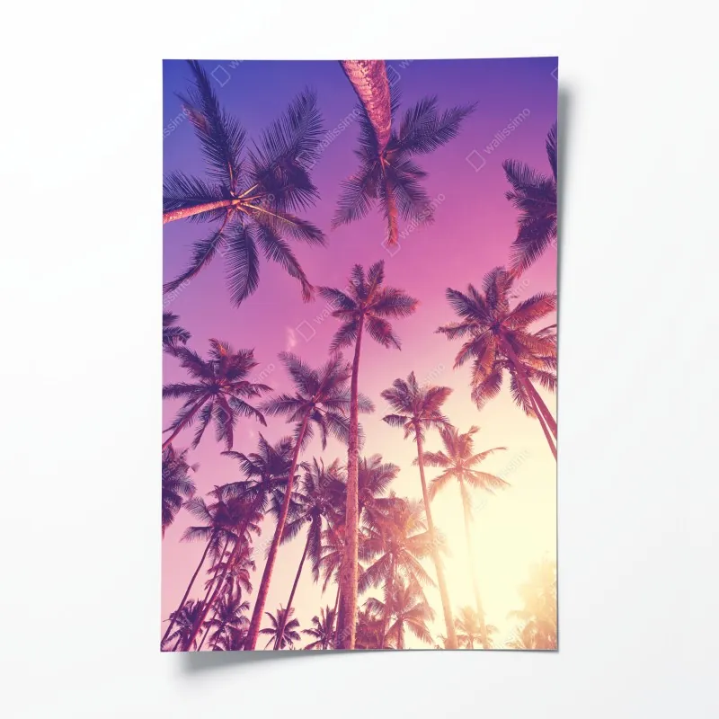 Poster nebliger morgenwald mit sonnenstrahlen – Wallnifity®