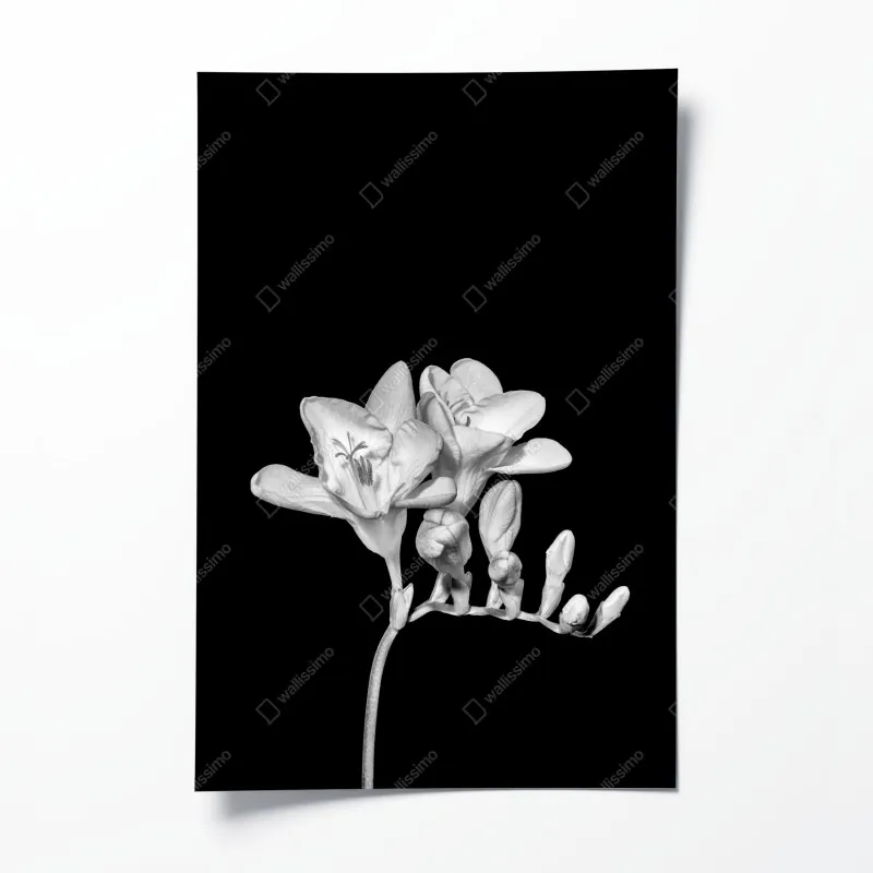 Poster tropische orchideen in aquarell und palmblättern – Wallnifity®