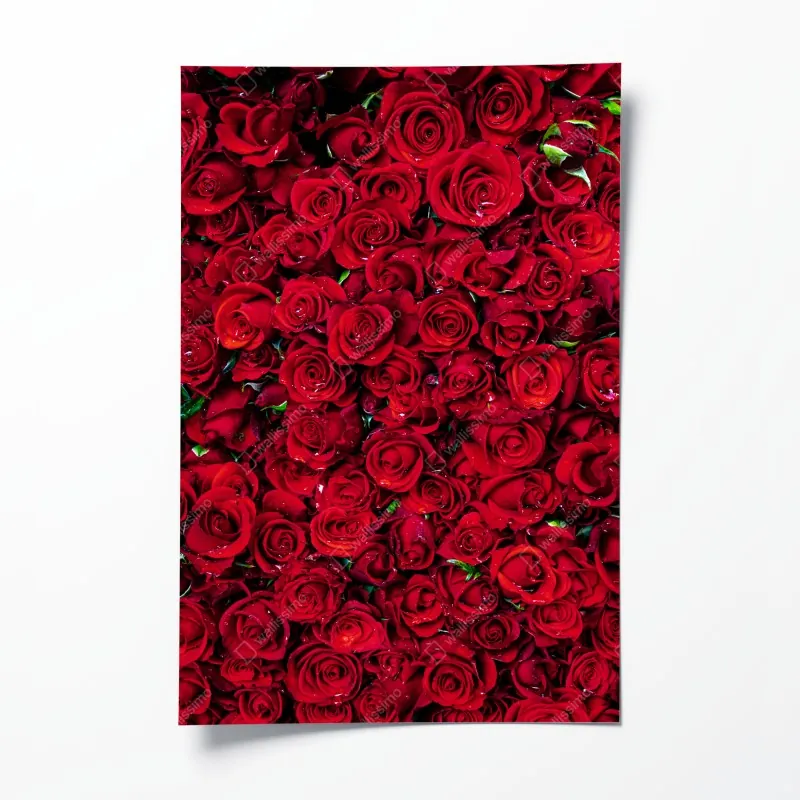 Poster leuchtende orange gerbera in makro – Wallnifity®