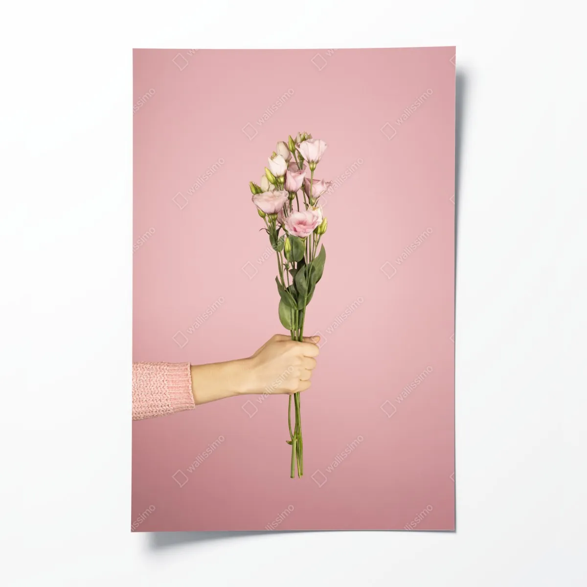Poster zarter rosa eustoma-strauß – Wallnifity®