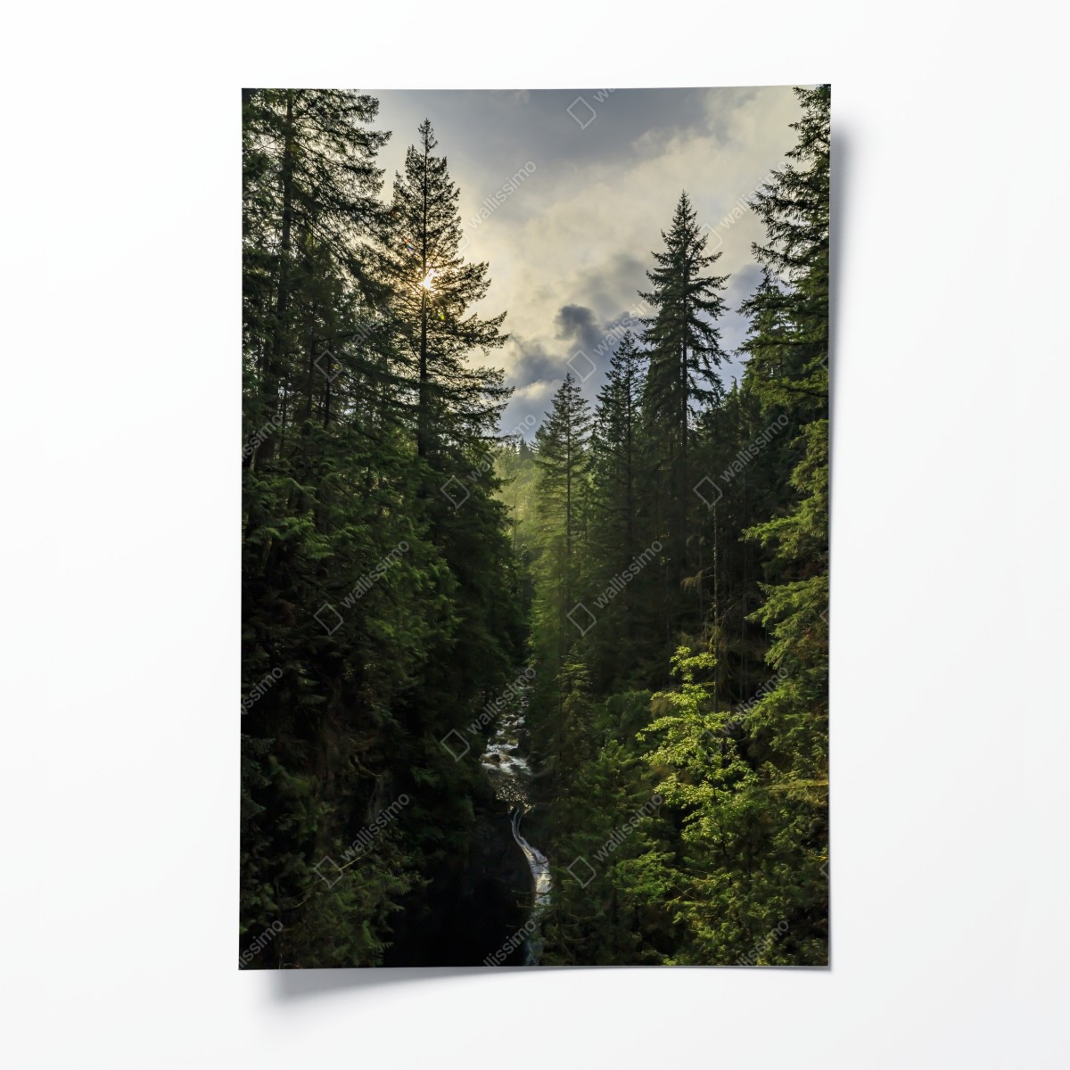 Poster nebliger immergrüner wald mit wasserfall – Wallnifity®