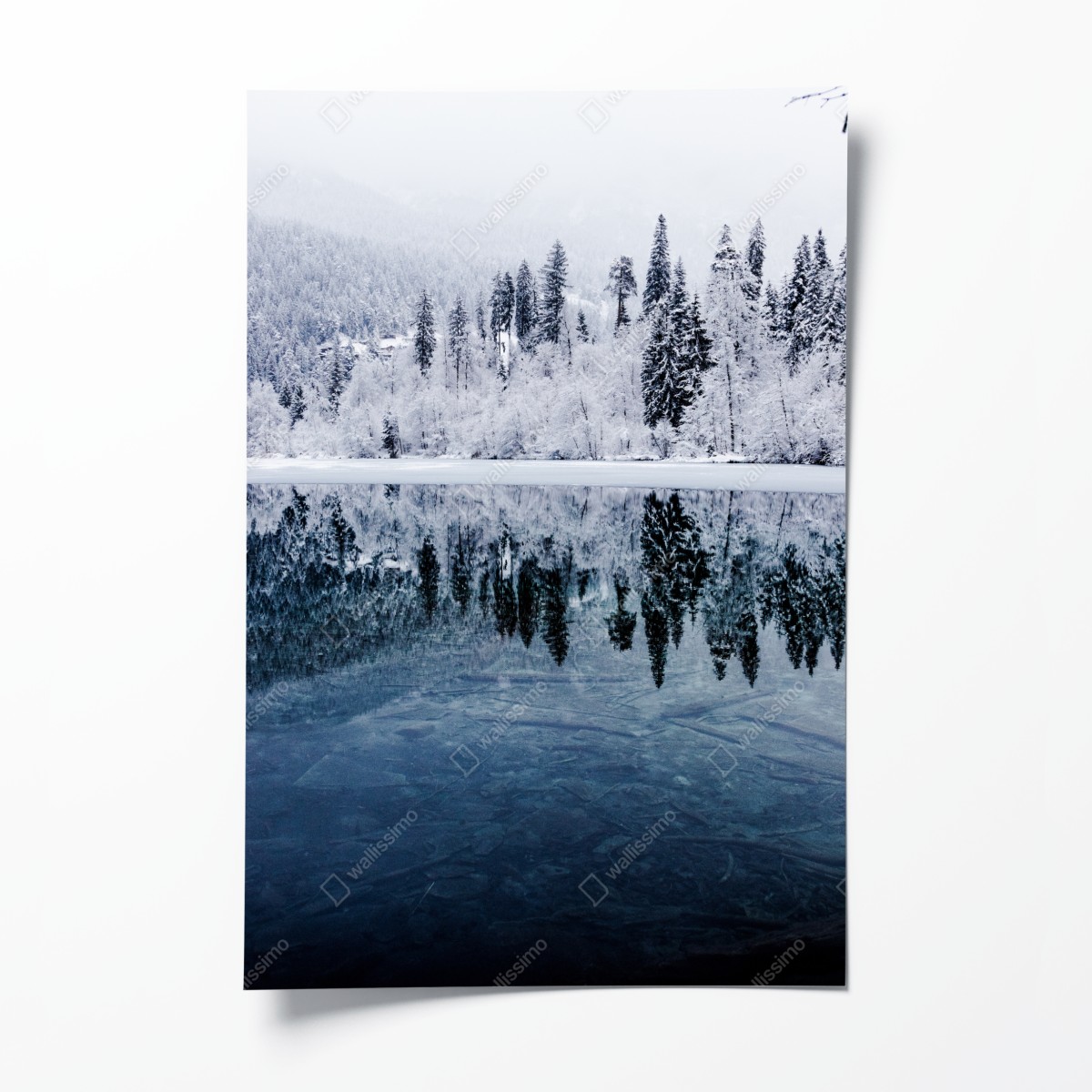 Poster winterlicher see mit spiegelung im verschneiten wald – Wallnifity®
