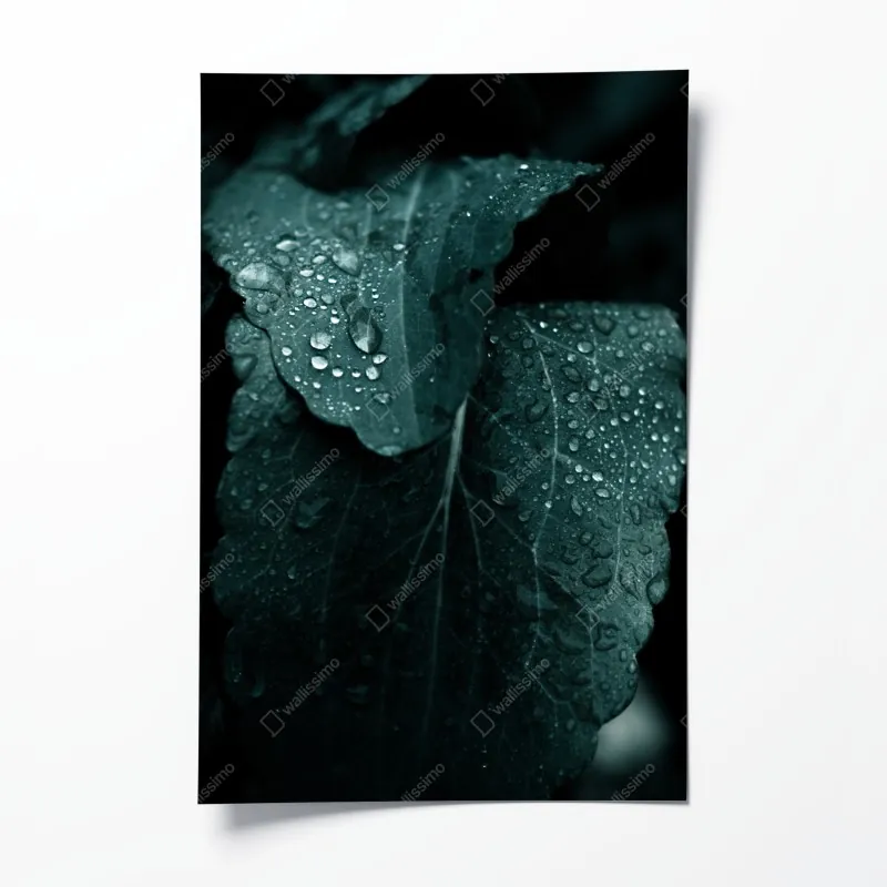 Poster nebliger morgen am Lacu Roșu – Wallnifity®