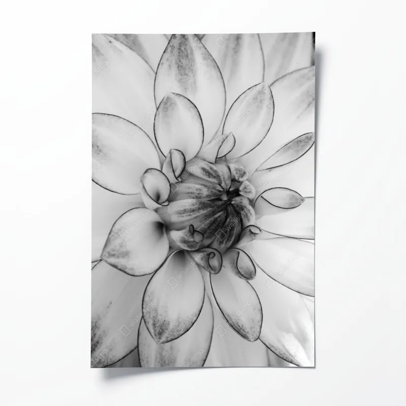 Poster sonnenuntergang über der heide auf den North York Moors – Wallnifity®